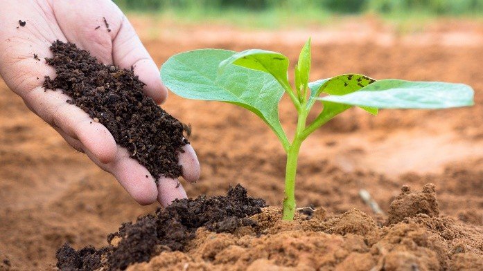 Journey of Vermicompost Production for Sustainable Agriculture